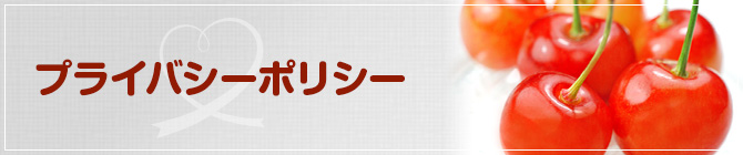 プライバシーポリシー